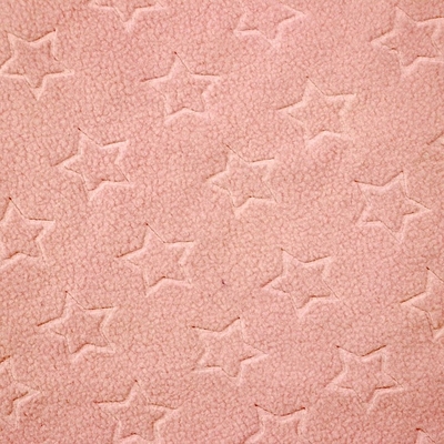 micro tessuto polare del vello 210gsm